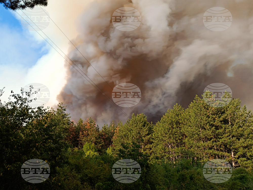 Стара Загора - вилна зона - пожар