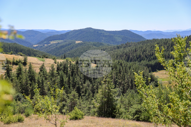 Perfect Mountain Hiking Conditions on Saturday