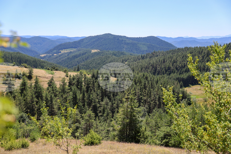 Perfect Mountain Hiking Conditions on Saturday