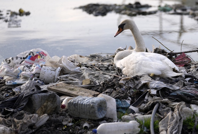 От Елба до Ебро - големите европейски реки са завладени от микропластмаса 