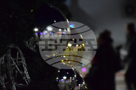 Благоевград - Коледна елха - светлини - тържество