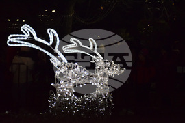 Благоевград - Коледна елха - светлини - тържество