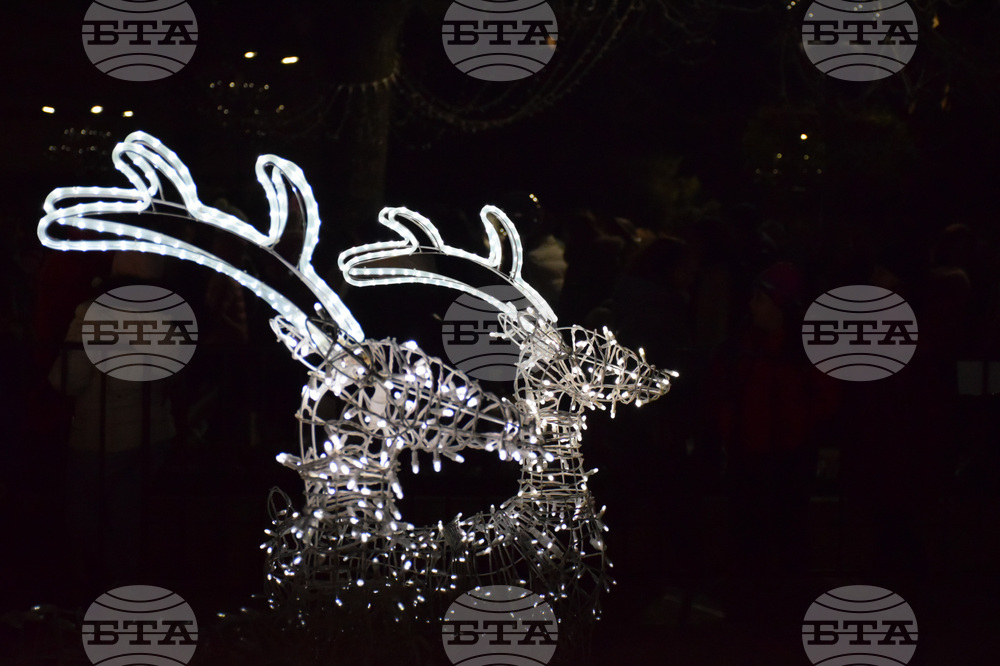 Благоевград - Коледна елха - светлини - тържество