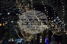 Благоевград - Коледна елха - светлини - тържество