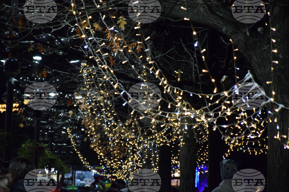 Благоевград - Коледна елха - светлини - тържество