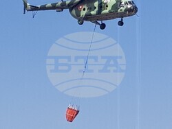 Снимка: Община Стара Загора