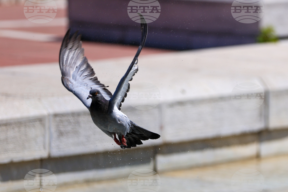 Благоевград - горещо време