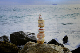 Варна - изложба - “Сърцето на природата”