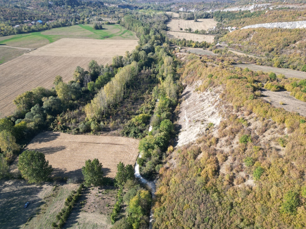 Община Ловеч: 27 хиляди декара гори в Ловешко и Летнишко спасени от изсичане