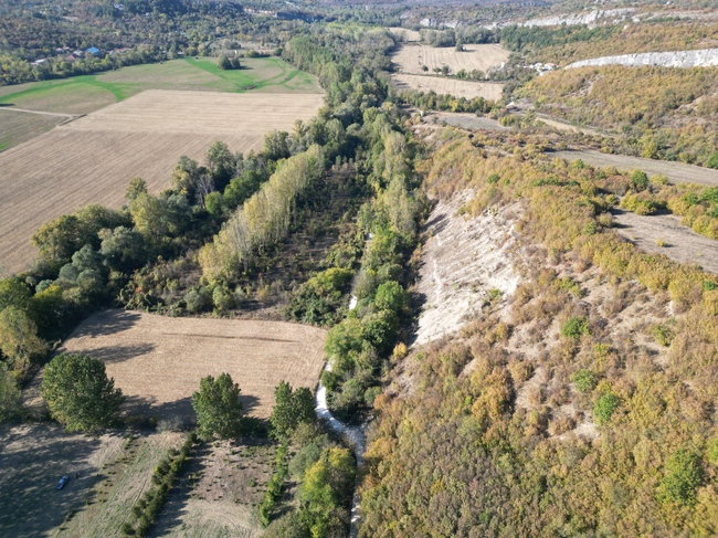 Община Ловеч: 27 хиляди декара гори в Ловешко и Летнишко спасени от изсичане