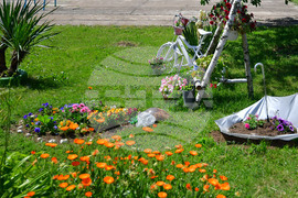 Село Самуил - детска градина - украса