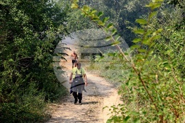 Село Отец Паисиево - пожар