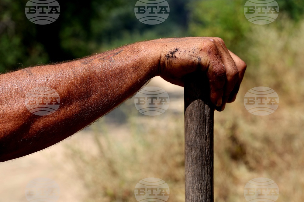 Село Отец Паисиево - пожар