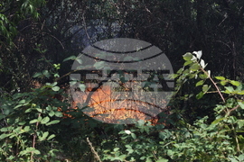 Село Отец Паисиево - пожар