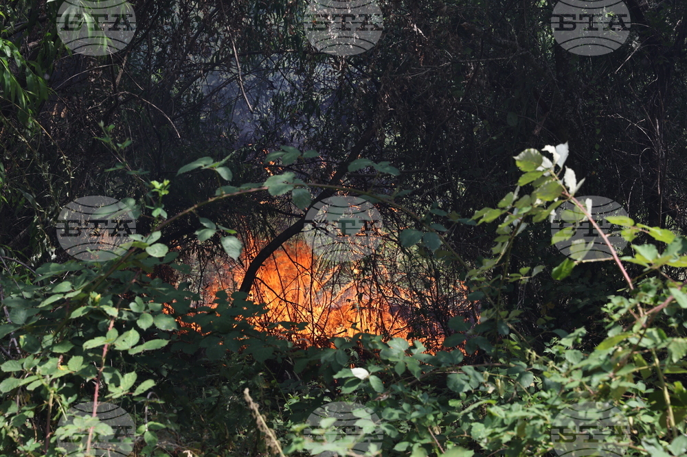 Село Отец Паисиево - пожар