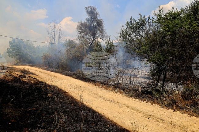 Село Отец Паисиево - пожар