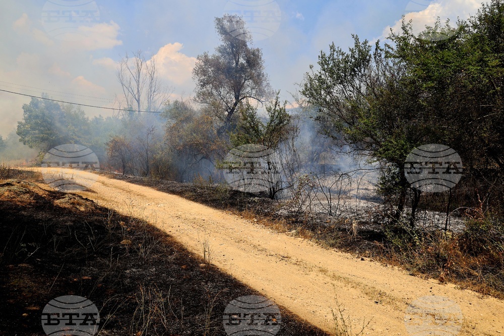 Село Отец Паисиево - пожар