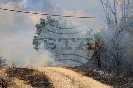 Село Отец Паисиево - пожар