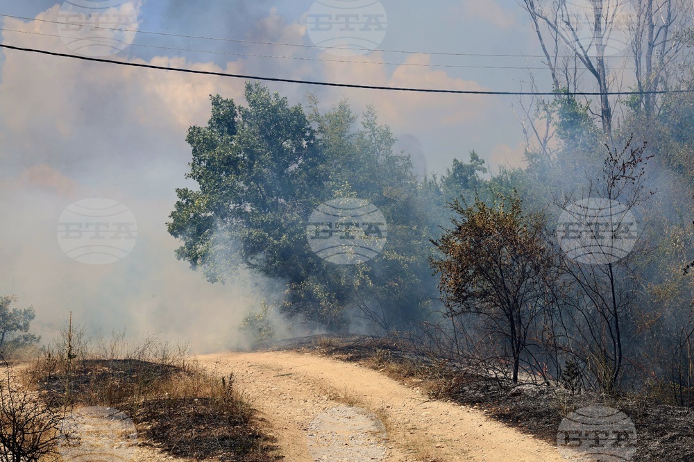 Село Отец Паисиево - пожар