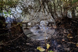 Село Отец Паисиево - пожар