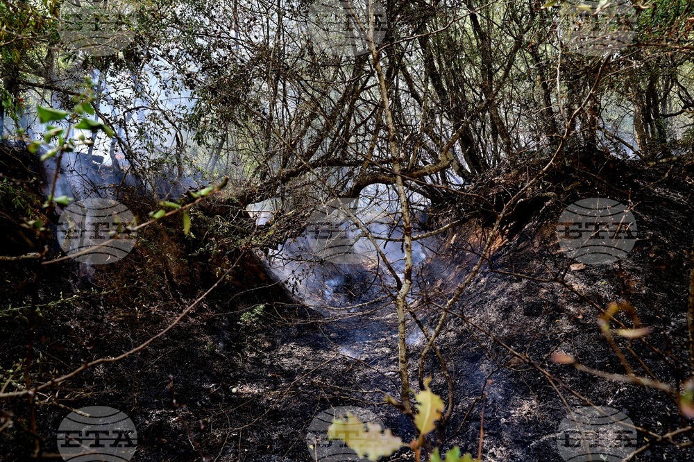 Село Отец Паисиево - пожар