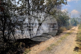 Село Отец Паисиево - пожар