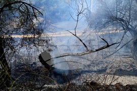 Село Отец Паисиево - пожар