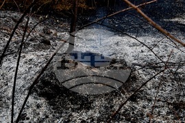 Село Отец Паисиево - пожар