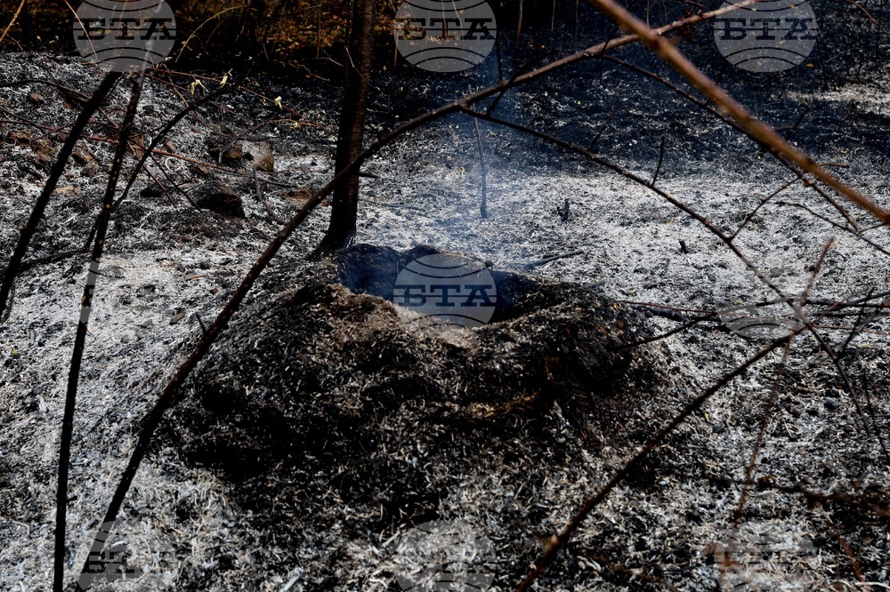 Село Отец Паисиево - пожар