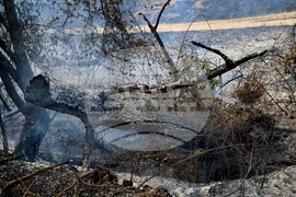 Село Отец Паисиево - пожар