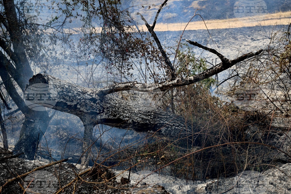 Село Отец Паисиево - пожар