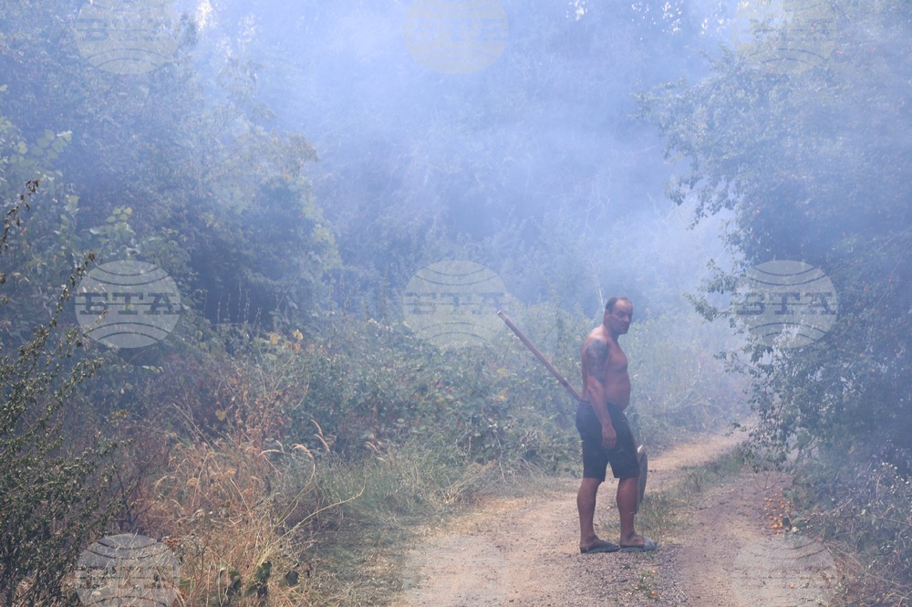 Село Отец Паисиево - пожар