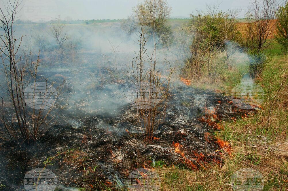 При пожари в Монтанско вчера са изгорели над 700 декара сухи треви и храсти