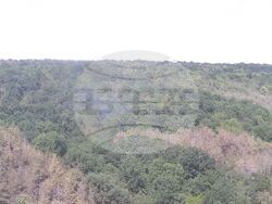 Снимка: Община Варна