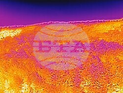 Снимка: Община Варна