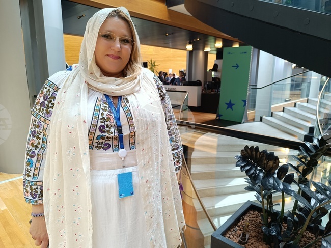 Франция - Страсбург - Европейски парламент - Диана Шошоака - интервю