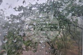 Плевен - буря - силен дъжд