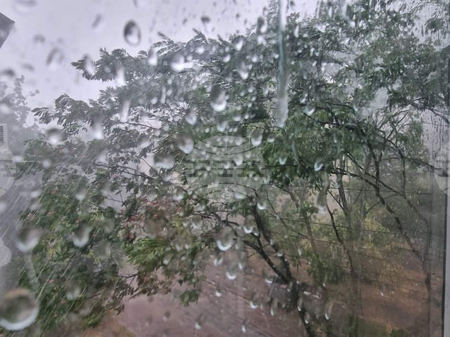 Трима души са загинали в бурята в Румъния снощи, която причини щети в 18 окръга