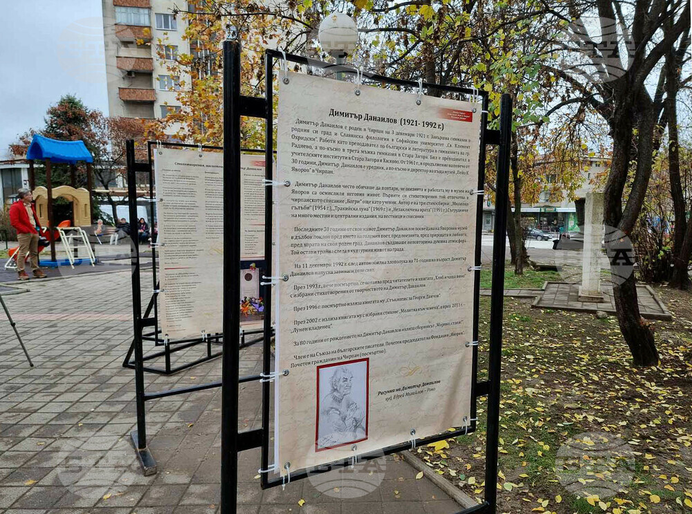 Чирпан - Димитър Данаилов - изложба