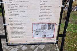 Чирпан - Димитър Данаилов - изложба