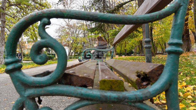 Police Arrests Man Who Allegedly Defrauded Victims of EUR 415,000