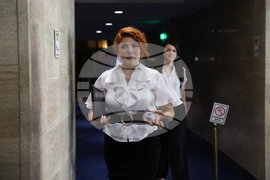 Парламент - заседание - Венеция Нецова-Ангова