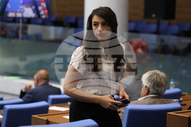 Парламент - заседание