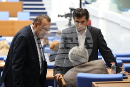 Парламент - заседание