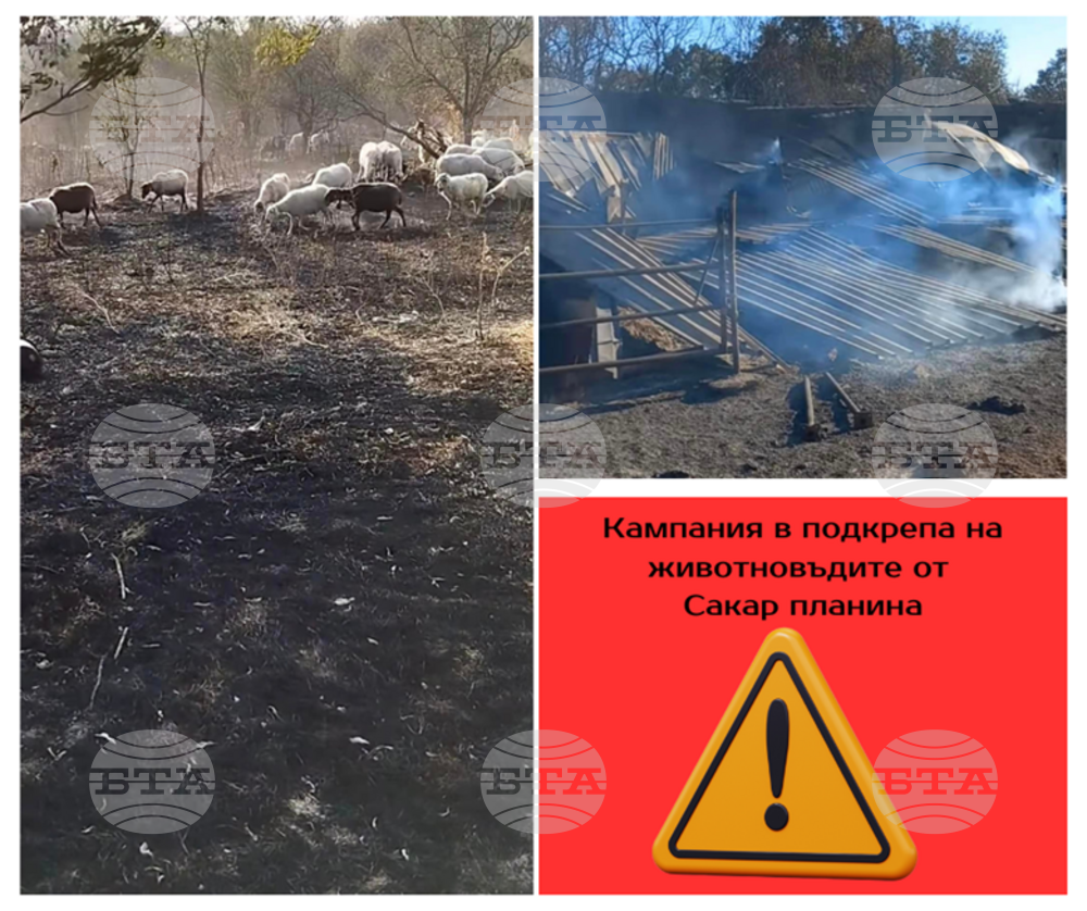 Националната асоциация на зърнопроизводителите стартира кампания в помощ на животновъдите, засегнати от големия пожар в Сакар планина