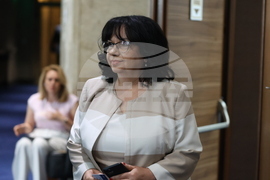 Парламент - Теменужка Петкова - изявление