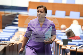 Парламент - заседание