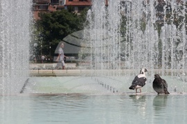 Летни горещини - високи температури