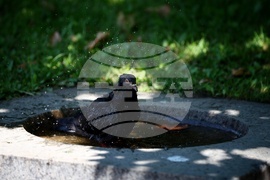 Лято - високи температури