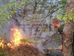 Снимка: Министерство на отбраната